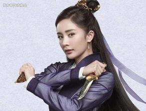 扶摇明星表,明星阵容揭秘，璀璨星光闪耀荧屏