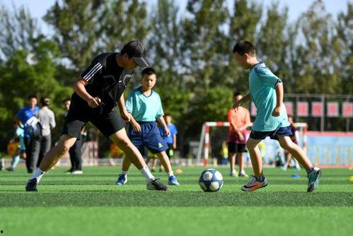 云南足球教练爆料新闻,揭秘足球圈幕后真相