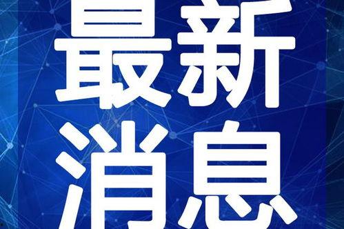 汕尾偷车爆料视频大全最新,警方全力追查，市民共同守护家园
