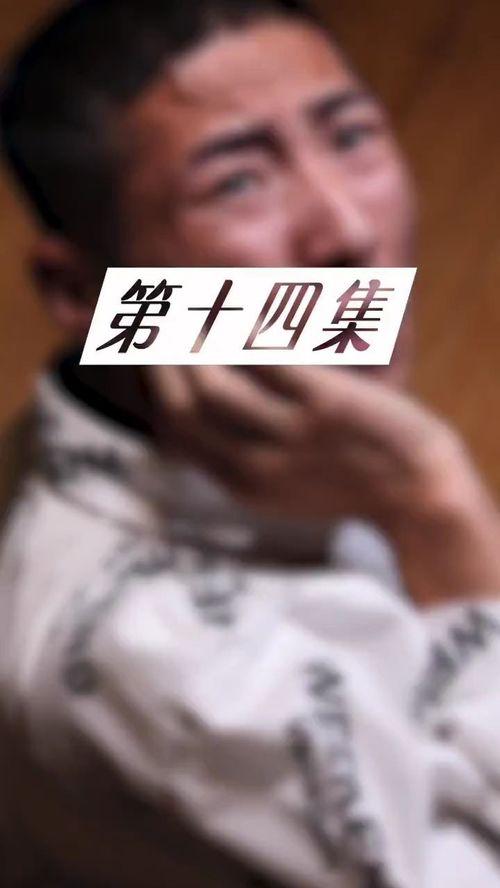 同盟第14集在线播放,暗流涌动，危机四伏