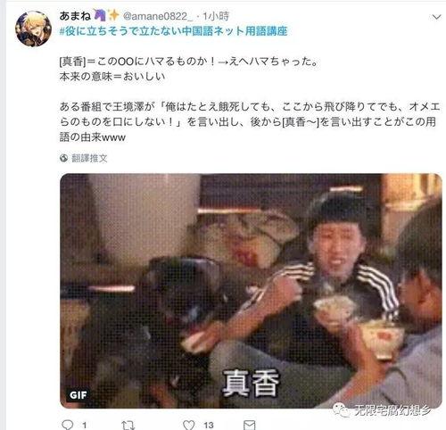 日本网友中文,多元视角下的文化交流与碰撞