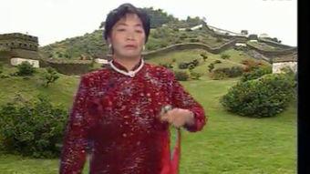 河南琴书武秀英要老公,情深似海——河南琴书武秀英与丈夫的爱情传奇