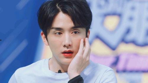 徐凯是不是明星