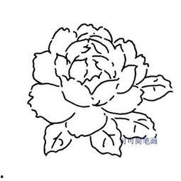 郑兰迎牡丹画法视频,传承与创新的艺术之旅