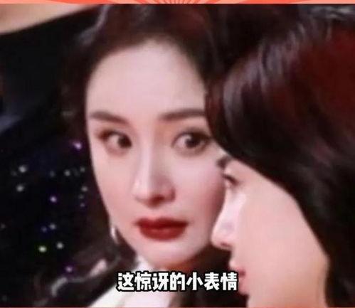 娱乐圈吃瓜完结